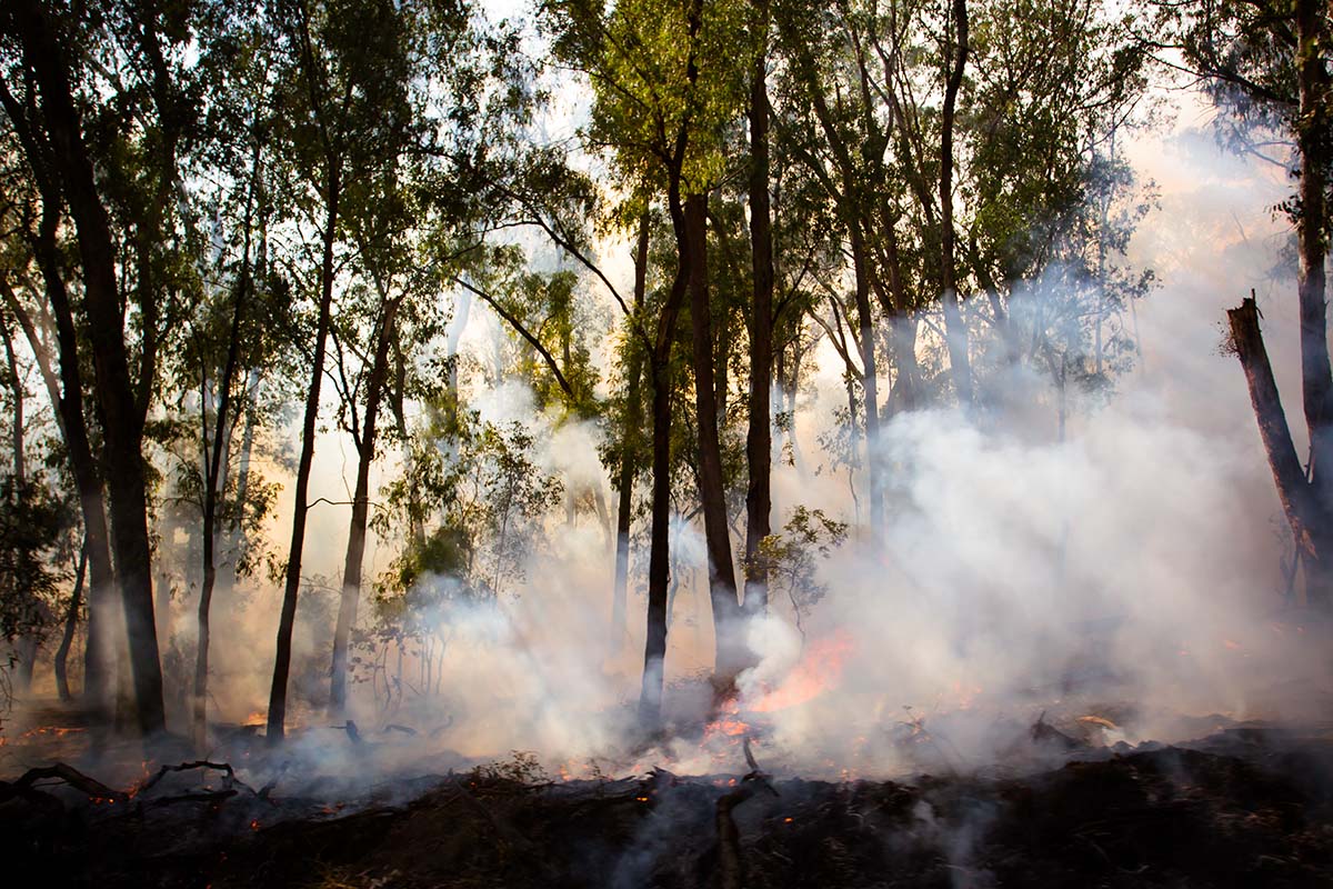 Australien Spenden Rabattaktion