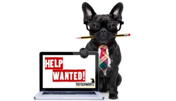 Webdesigner Freelancer